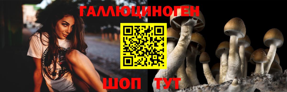 Псилоцибиновые грибы ЛСД Кудымкар
