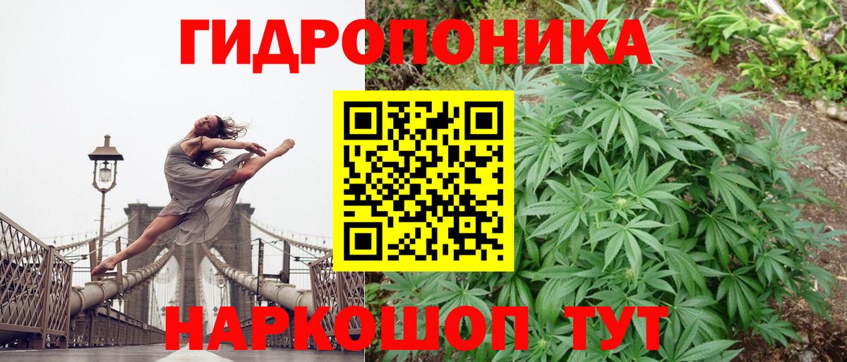 Каннабис план Кудымкар